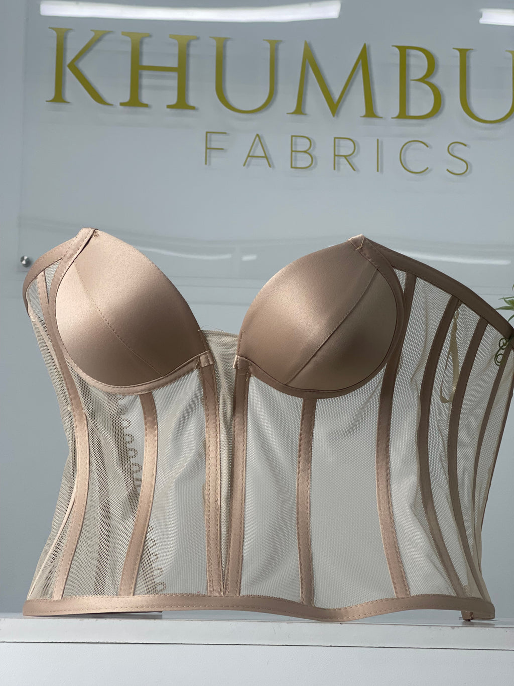 Nude Mesh Corset
